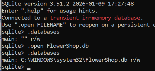 Screenshot of SQLite commands for creating and verifying database