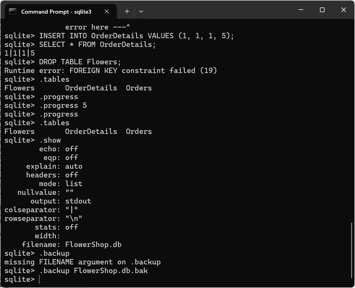 Screenshot of SQLite commands for creating and verifying database